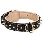 Nappa Padded Leather Dog Collar with Two Rows of Brass Spikes