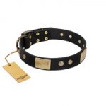 "Antique Gloss" FDT Artisan Black Leather dog Collar with Bronze-like Plates and Small Studs