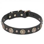 "Magic Necklace" Leather Dog Collar with Brass Circles and Studs - 1 1/5 inch (30 mm)