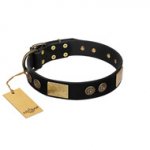 "Chicci-Glam" FDT Artisan Black Leather dog Collar with Plates and Ornate Studs