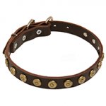 Super Gorgeous Leather Dog Collar