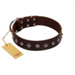 "Boundless Energy" Premium Quality FDT Artisan Brown Designer Leather dog Collar with Small Pyramids