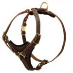 Light Weight Tracking Leather Canine Harness with Padded Chest Plate