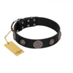"Ad Infinitum" Durable FDT Artisan Black Leather dog Collar with Chrome Plated Brooches