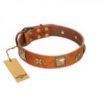 "Celtic Tunes" FDT Artisan Tan Leather dog Collar Adorned with Stars and Squares