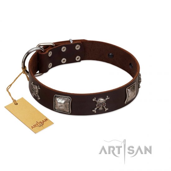 "Nut-Brown Finery" Embellished FDT Artisan Brown Leather dog Collar with Chrome Plated Crossbones and Plates - Click Image to Close