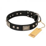 "Pirates Gold" FDT Artisan Black Leather dog Collar with Old Silver Look Plates and Skulls