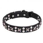 "Planets and Stars" Posh Leather Dog Collar with Chrome Plated Fittings - 1 1/5 inch (30 mm)