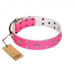 "Girls-Only" FDT Artisan Pink Leather dog Collar Adorned with Stars and Tiny Squares
