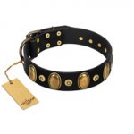 "Venerable Pawty" FDT Artisan Black Leather dog Collar with Old Bronze-like Ovals and Studs