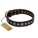 "Victory Ode" FDT Artisan Brown Leather dog Collar with Silver-like Plated Decorations