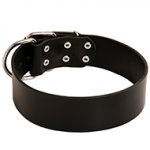 Extra Wide Leather Buckle Collar