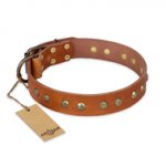"Spring Flavor" FDT Artisan Adorned Leather dog Collar with Old Bronze-Plated Engraved Studs