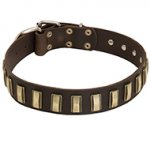 Ornamented with Plates Leather Dog Collar