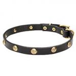 'Stamped Studs' Exclusive Fashion Dog Collar with Brass Hardware- 4/5 inch (20 mm)