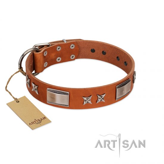 "Sweet Biscuit" FDT Artisan Tan Leather Dog Collar with Stars and Plates - Click Image to Close