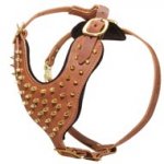Exquisite Padded Leather Dog Harness with Brass Spikes