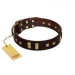 "Choco Delight" FDT Artisan Brown Leather dog Collar with Old Bronze-like Plates and Studs