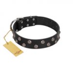 "Power-Flower" FDT Artisan Black Leather dog Collar with Two Rows of Silver-like Studs with Engraved Flowers