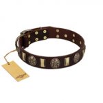 "Skull's Adventure" FDT Artisan Brown Leather dog Collar with Plates and Ovals