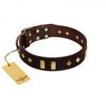 "Blinking Illusion" FDT Artisan Brown Leather dog Collar with Old Bronze-like Studs and Plates