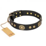 "Golden Radiance" FDT Artisan Black Leather dog Collar with Old Bronze Look Ovals and Circles