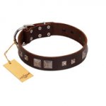 "Object of Virtu" FDT Artisan Brown Leather dog Collar with Old Silver-like Square Studs and Pyramids