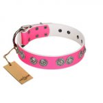 "Periapt of Power" FDT Artisan Pink Leather dog Collar with Chrome Plated Medallions