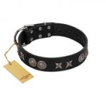 "Scythian Silver" Stylish Handmade FDT Artisan Black Leather dog Collar