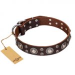 "Age of Beauty" FDT Artisan Incredible Studded Brown Leather dog Collar