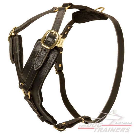 Exclusive Adjustable Padded Leather Dog Harness