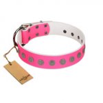 "Pop Star" Handcrafted FDT Artisan Pink Leather dog Collar with Round Plates