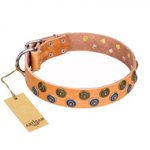"Precious Sparkle" FDT Artisan Handcrafted Tan Leather dog Collar