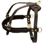 Padded Leather Dog Harness for Pulling, Tracking and Walking