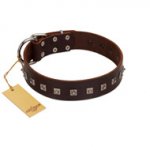 "Kingly Grace" FDT Artisan Brown Leather dog Collar with Silver-like Dotted Studs