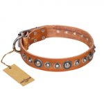 "Daily Chic" FDT Artisan Tan Leather dog Collar with Decorations
