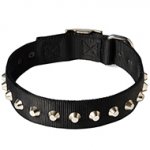 Fashionable Wide Nylon Dog Collar With Nickel Plated Pyramids