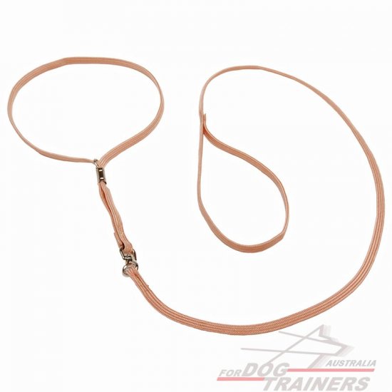 Thin Nylon Lead and Collar Combo for Dog Show