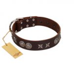 "Antique Style" Designer Handmade FDT Artisan Brown Leather dog Collar