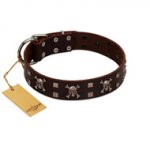 "Menacing Allure" FDT Artisan Brown Leather dog Collar Embellished with Silvery Crossbones and Square Studs