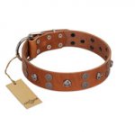 "Road Rider" FDT Artisan Tan Leather dog Collar with Old Silver-like Skulls and Medallions