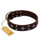 "Trendy Candy" FDT Artisan Brown Leather dog Collar Adorned with Stars and Tiny Squares