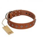 "Broadway" Handmade FDT Artisan Tan Leather dog Collar with Dotted Pyramids