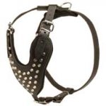 Adjustable Studded Leather Dog Harness