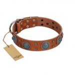 "Blue Sands" FDT Artisan Tan Leather dog Collar with Silver-like Studs and Round Conchos with Stones