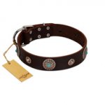 "Magic Stones" FDT Artisan Brown Leather dog Collar with Chrome Plated Brooches and Studs