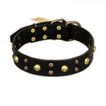 "Heavy Metal" Leather dog Collar with Skulls and Studs 1 1/2 inch (40 mm)