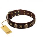 "Captain Hook" FDT Artisan Brown Leather dog Collar with Stars and Skulls