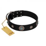 "Blue Gems" FDT Artisan Black Leather dog Collar with Chrome Plated Studs and Conchos