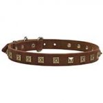 Gorgeous Decorated Leather Collar